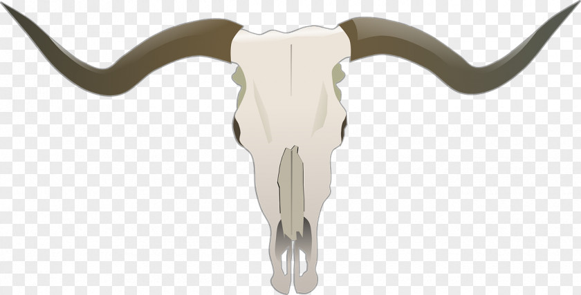 Longhorn Texas English Bull Clip Art PNG