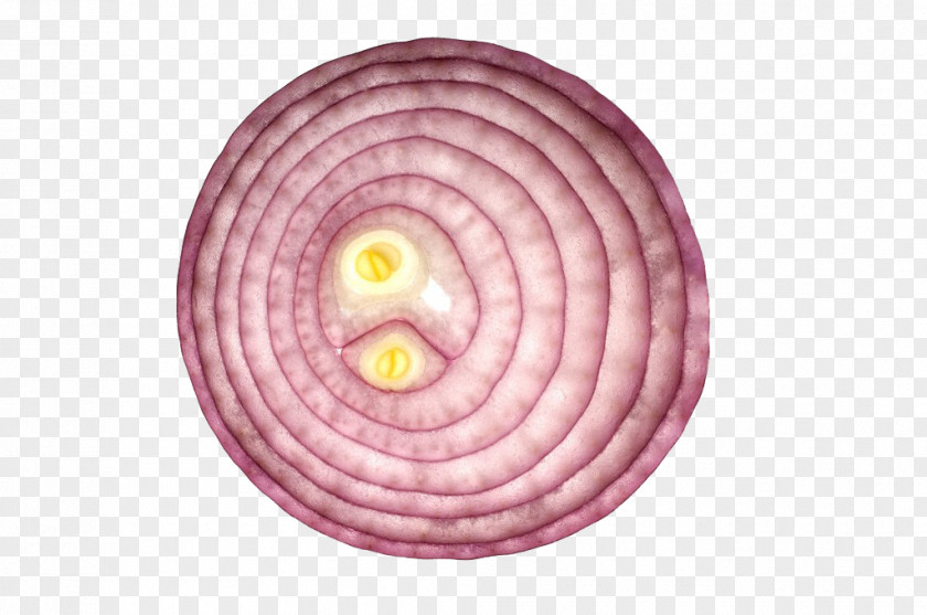 Onion Vegetarian Cuisine Shallot Red Vegetable Yellow PNG