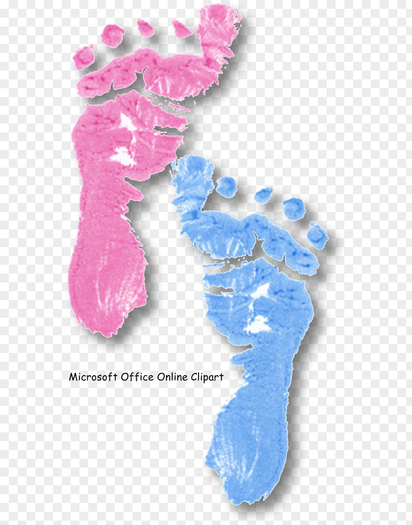 Organism Foot Font PNG