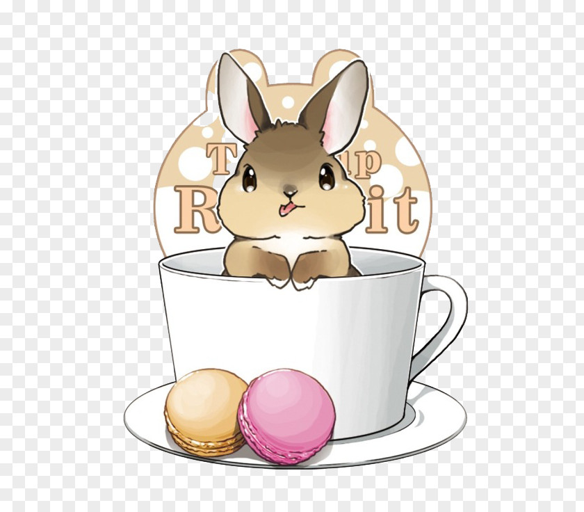 Rabbit And Cup IPhone 4S Cartoon Wallpaper PNG