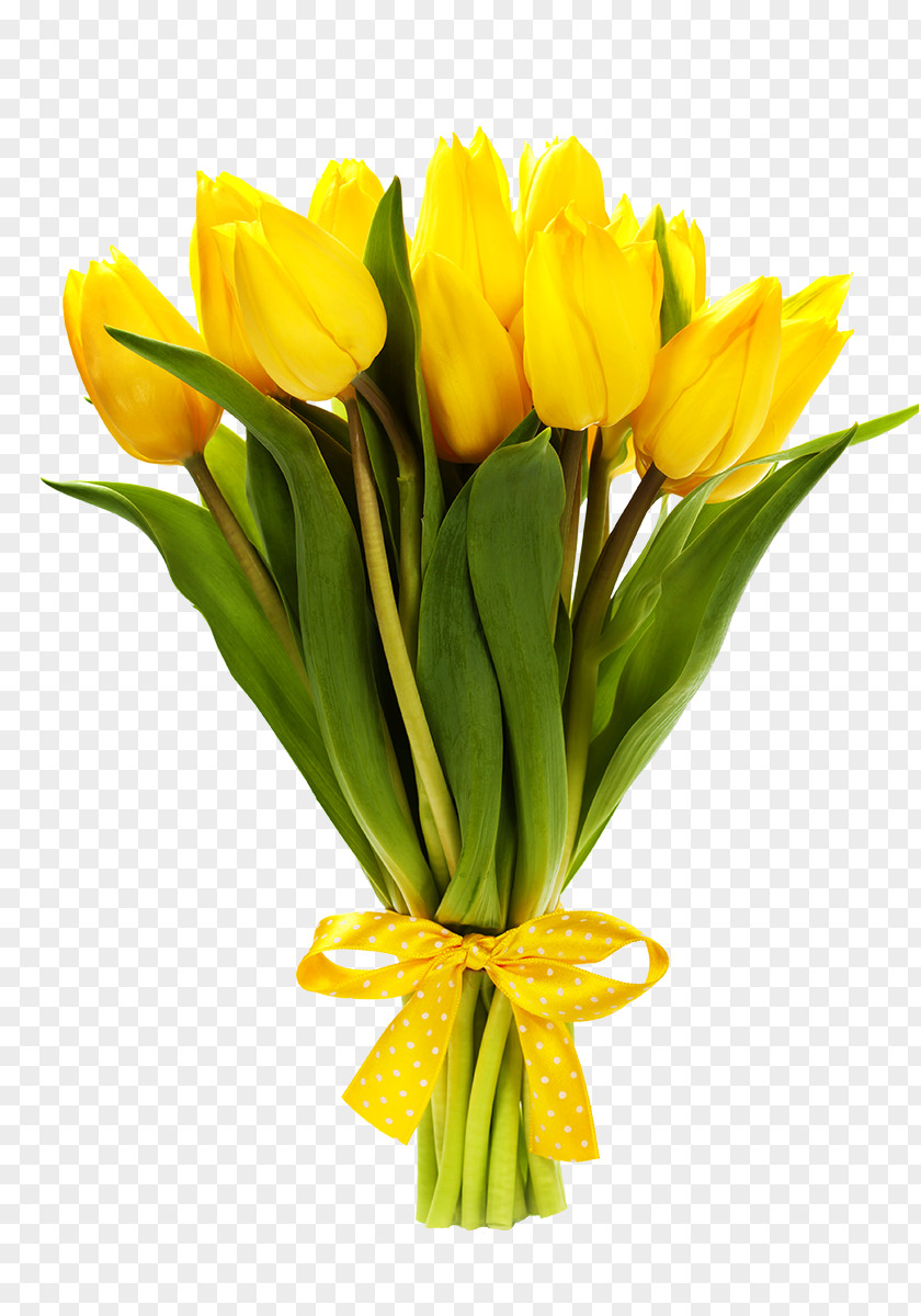 Tulip Flower Bouquet Stock Photography Image PNG