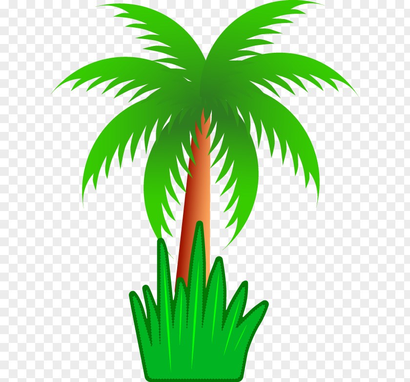Coconut Tree Vector Material Arecaceae Clip Art PNG