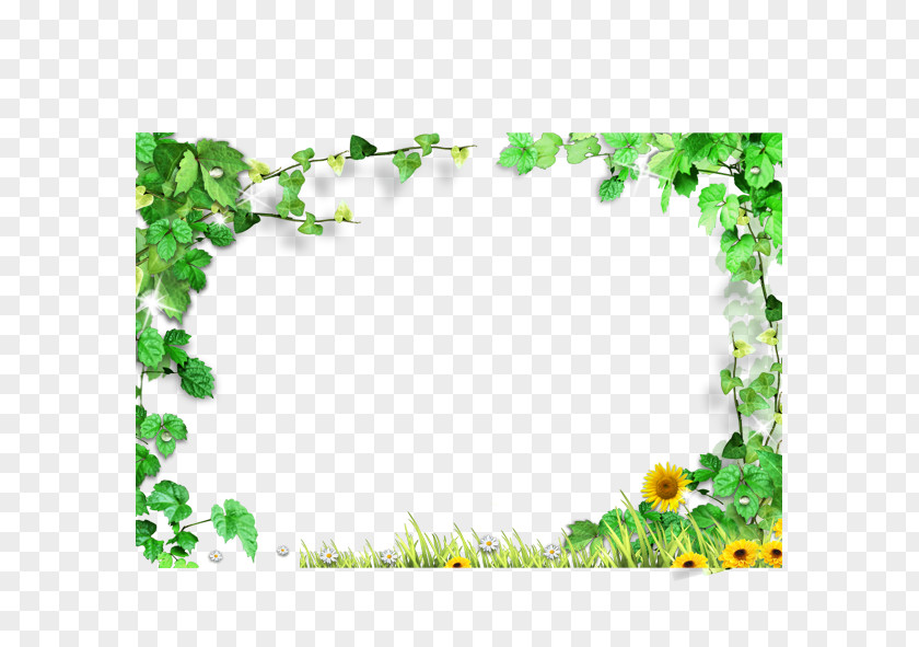 Green Leaves Frame,Green Background Border Template PNG