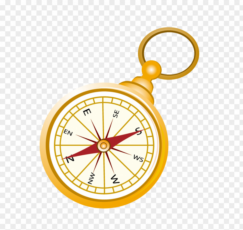 Vector Compass South PNG