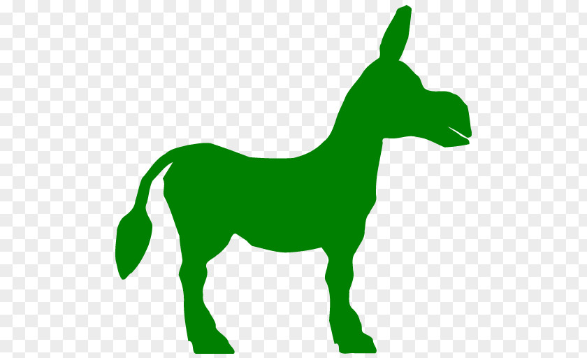 Donkey Mule Clip Art PNG