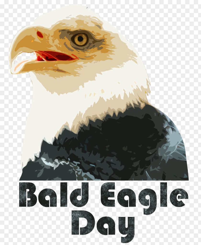 Eagle Vulture Beak Brand PNG