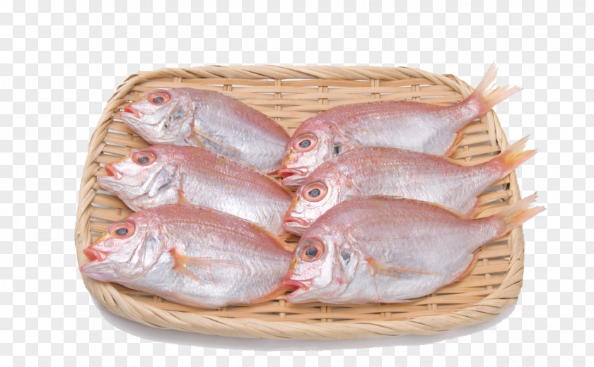 Fresh Fish Seafood PNG