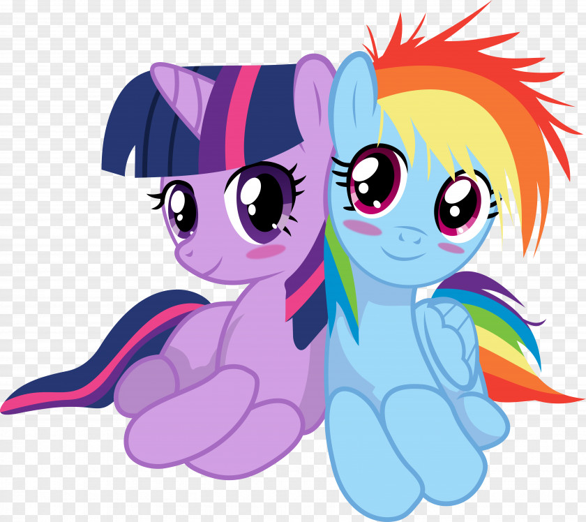 Horse My Little Pony: Friendship Is Magic Fandom Rainbow Dash Fluttershy PNG