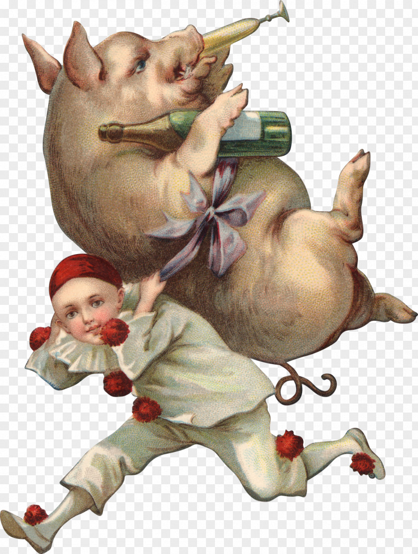 Postcard Domestic Pig Clip Art PNG