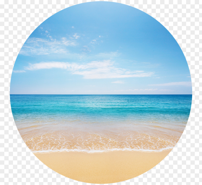 Beach Shore Clip Art PNG