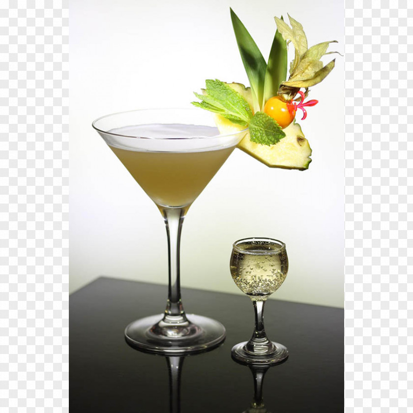 Cocktail Garnish Ratafia Martini Wine PNG