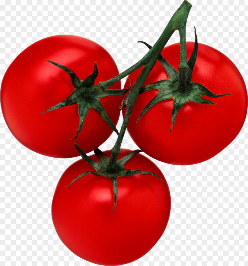 Pepper Italian Cuisine Food Health Clip Art PNG