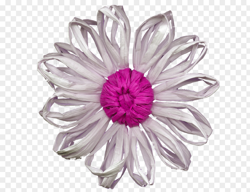 Petal Body Jewellery Cut Flowers PNG