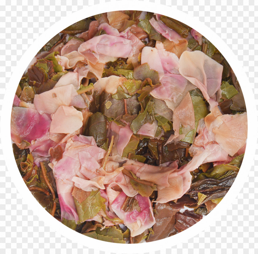 Product Description Petal Pink M PNG