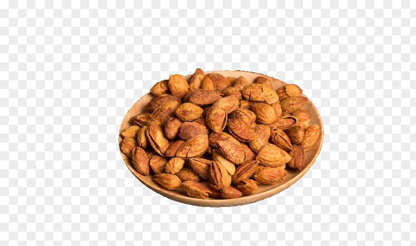 Almond Nut Apricot Kernel Dried Fruit PNG