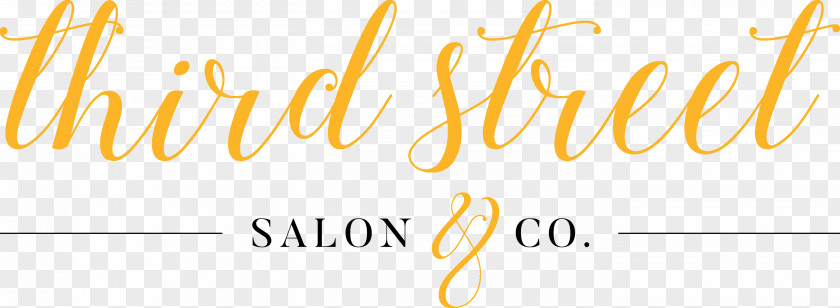 Brett Kelly Third Street Salon & Co. Hyperemesis Gravidarum Business Beauty Parlour Brand PNG