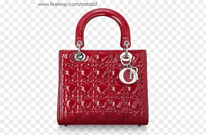 Christian Dior Tote Bag SE Lady Luxury Goods PNG