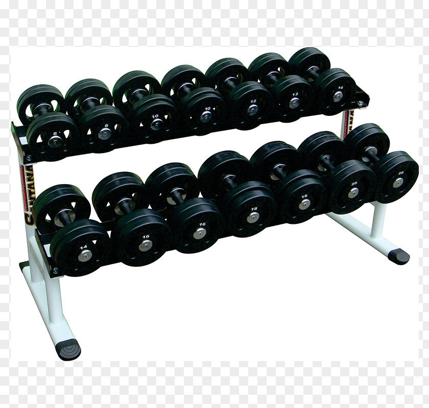Dumbbell CrossFit Weight Training Physical Fitness Centre PNG
