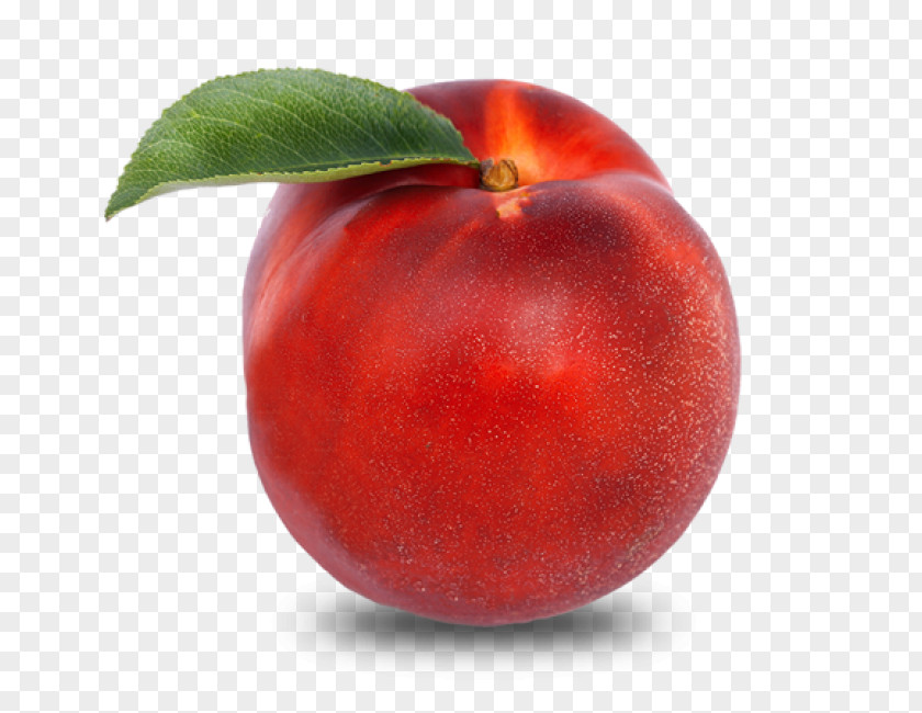 Peach Nectarine Fruit Food Auglis PNG