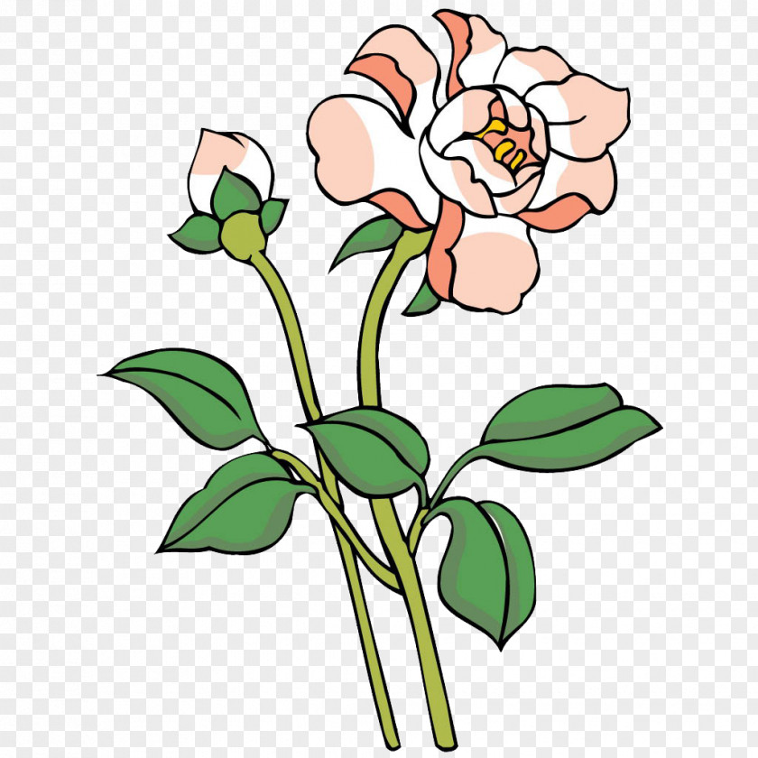 Peony Floral Design Painting PNG