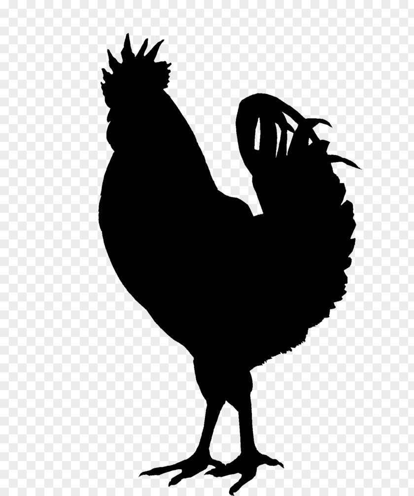Silhouette Silkie Chicken As Food Clip Art PNG