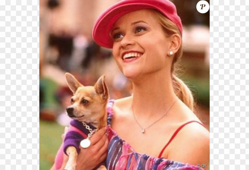 Legally Blonde Reese Witherspoon Elle Woods Death Film PNG