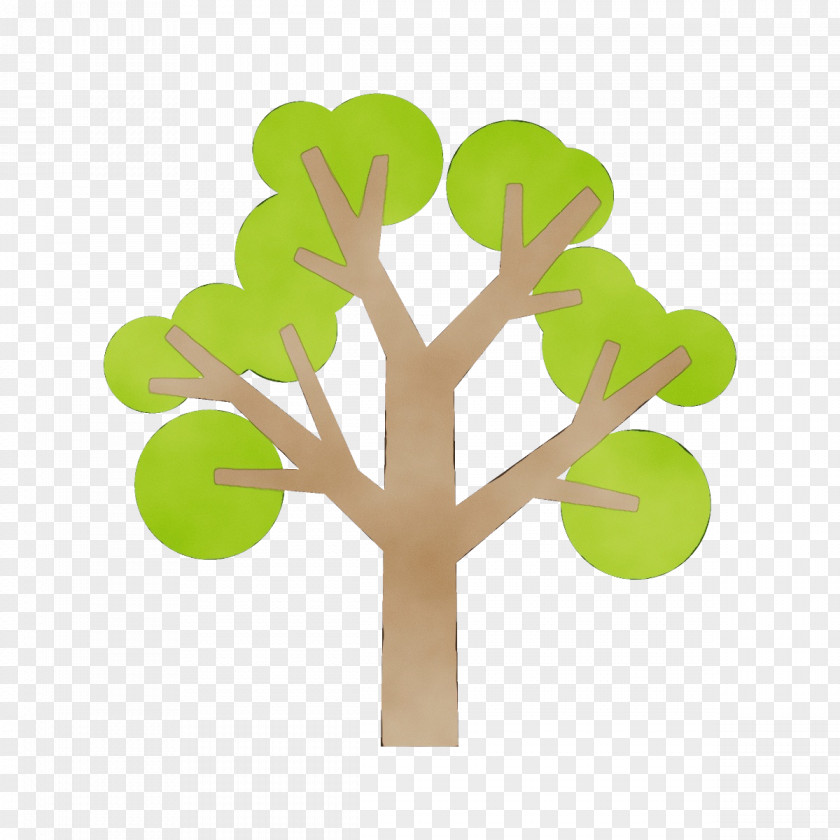 Plant Stem Symbol Green Leaf Tree PNG
