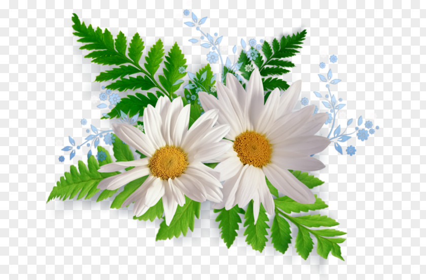 Tea U0420u043eu043cu0430u0448u043au0438 PNG u0420u043eu043cu0430u0448u043au0438 , Sunflower decorative flowers clipart PNG