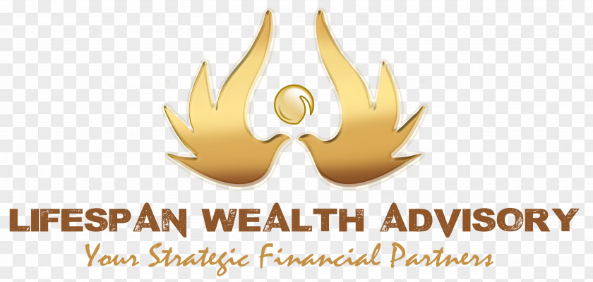 Business Lifespan Wealth Advisory Financial Adviser Private Banking Strategic Management PNG