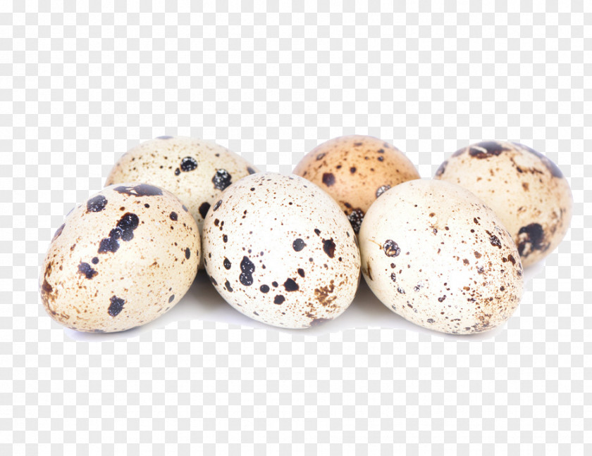 Creative Quail Eggs Salted Duck Egg PNG