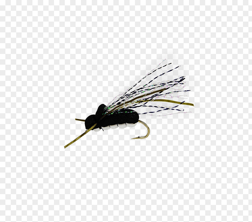 Fly Artificial Cicadoidea Insect Nymph PNG