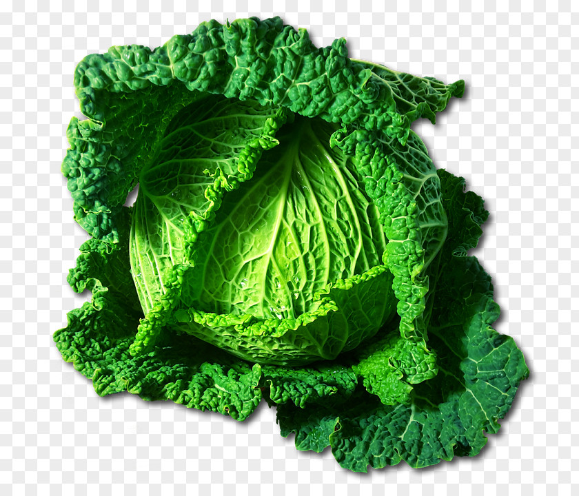 Green Cabbage Leaf Vegetable Savoy Capitata Group Cruciferous Vegetables PNG