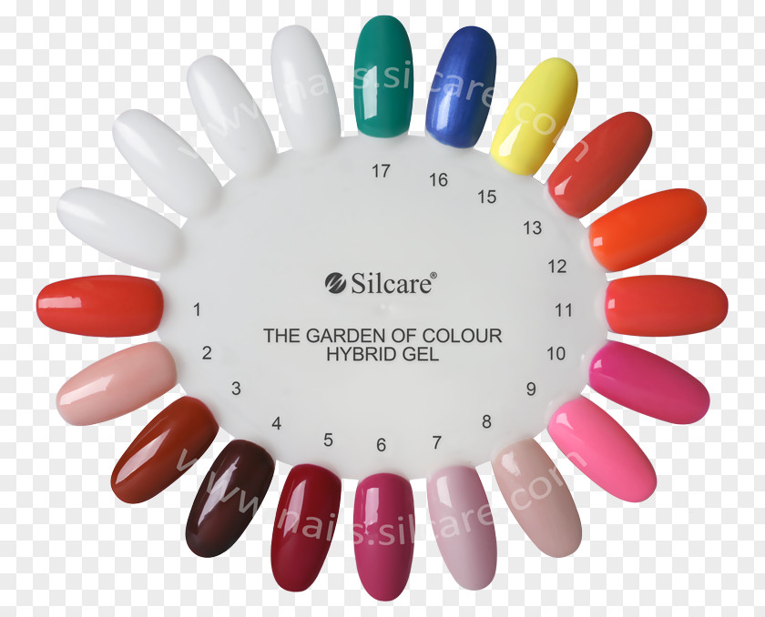 Nail Lakier Hybrydowy Color Lacquer Gel PNG