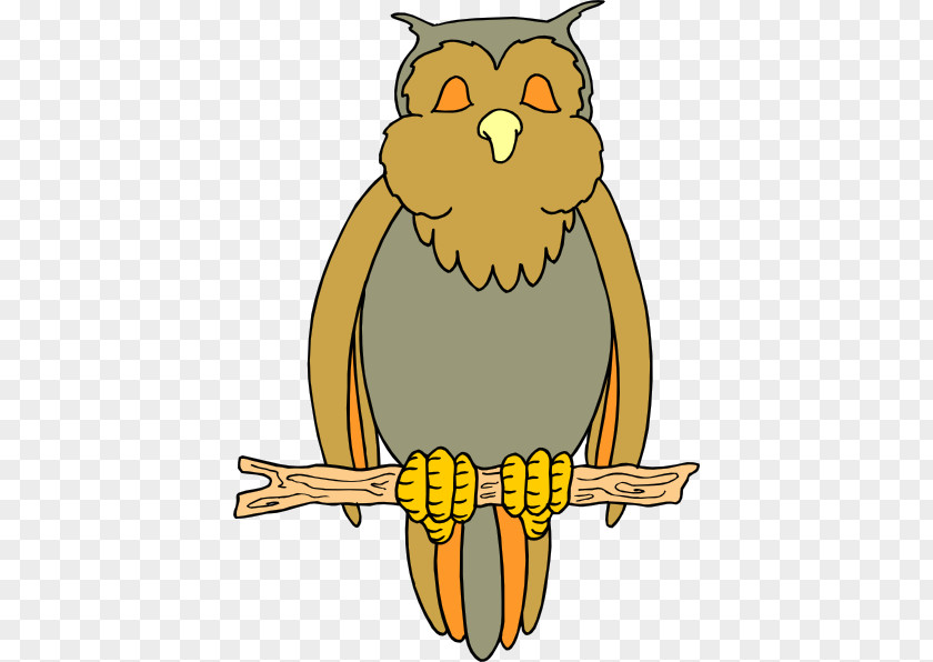Owl Bird Vector Graphics Drawing Cartoon PNG