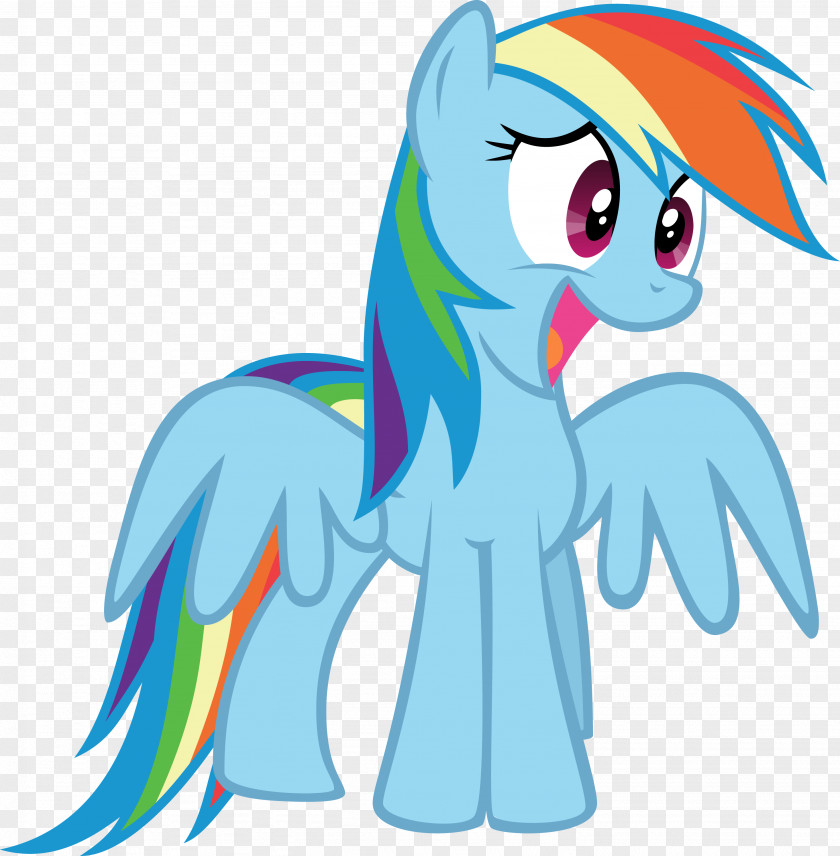 Rainbow Pony Horse Dash Pinkie Pie Rarity PNG