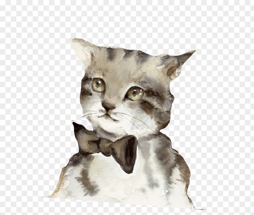 A Tie Cat Siamese Kitten Watercolor Painting Art PNG