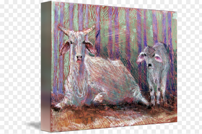 Angry Cow Cattle Goat Painting Wildlife Livestock PNG