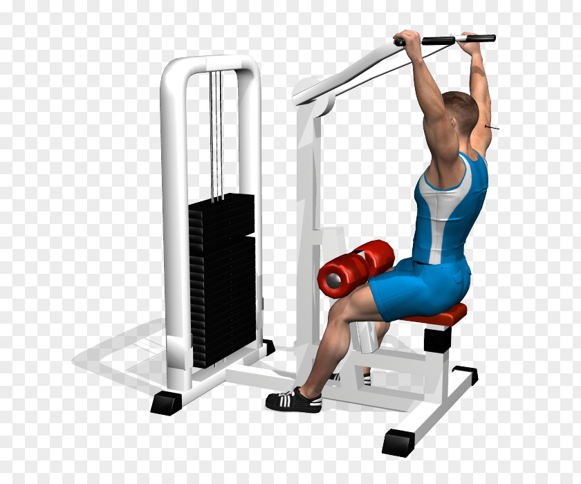 Dumbbell Pulldown Exercise Physical Fitness Shoulder Human Back PNG