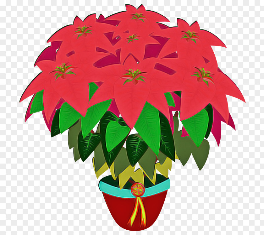 Flower Christmas Holly PNG