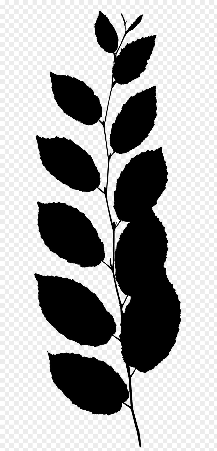 Flower Plant Stem Leaf Clip Art Line PNG