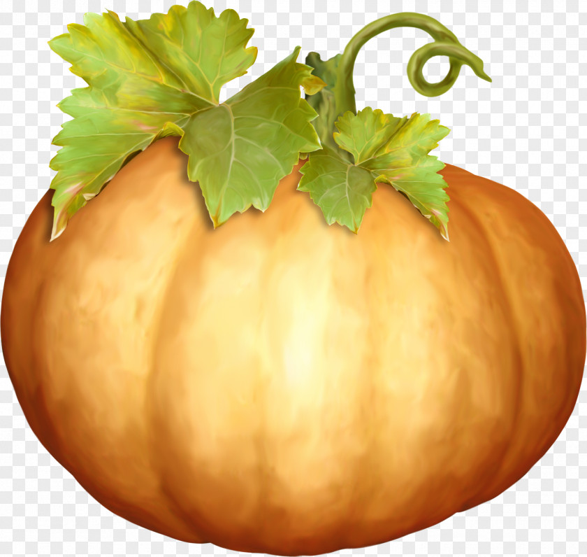 Food Pattern Cartoon Pictures,pumpkin Pumpkin Halloween Vegetable Calabaza Clip Art PNG