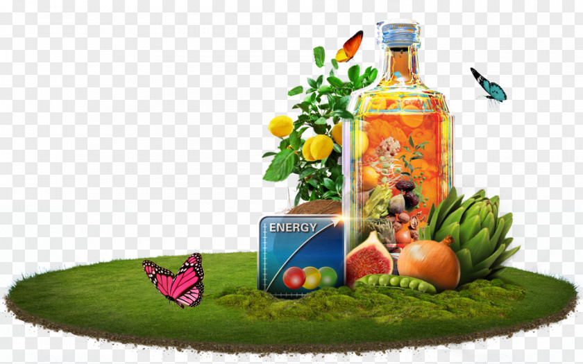 Glass Liqueur Bottle Plant PNG