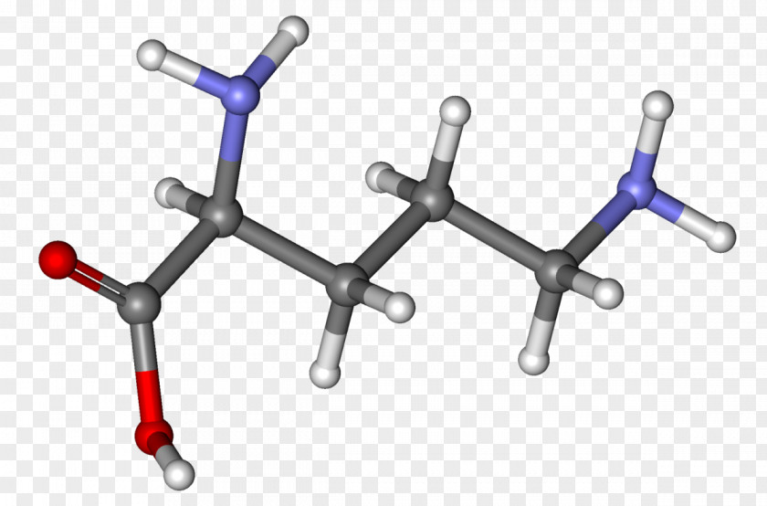 Molar Stick Ibuprofen Ornithine Ball-and-stick Model Molecule Growth Hormone PNG