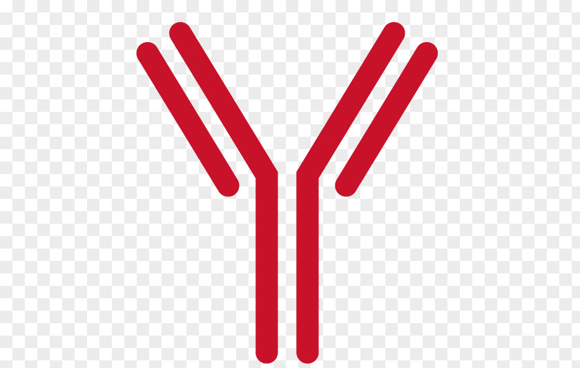 Monoclonal Antibody Clip Art ELISPOT ELISA PNG