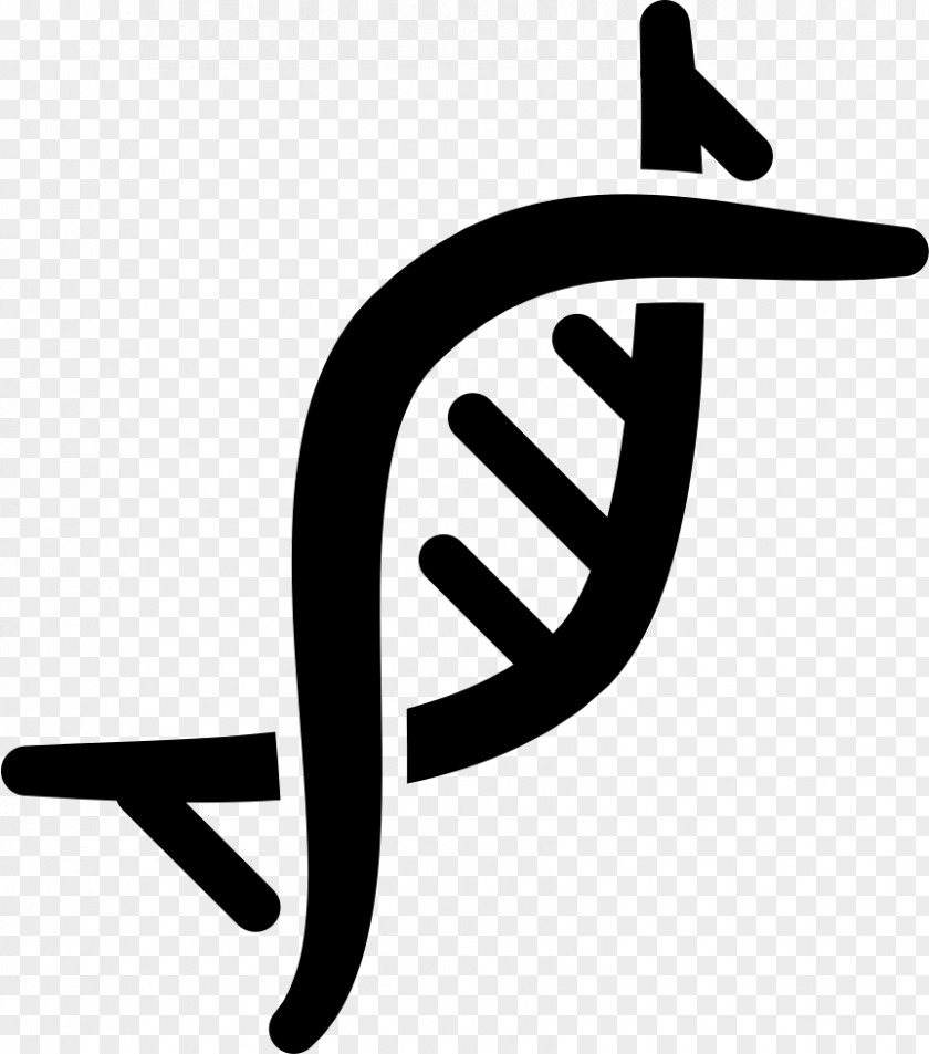 Chromosome DNA Genetics PNG