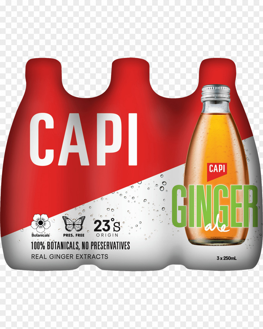 Dry Ginger Fizzy Drinks Beer Orange Soft Drink Carbonated Water PNG