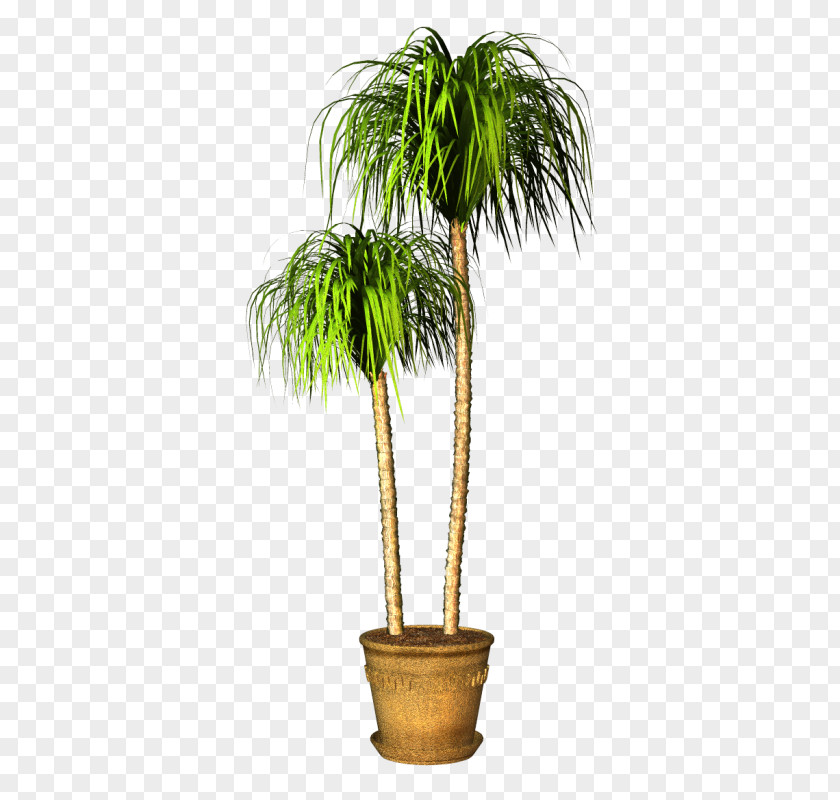 Flower Flowerpot Houseplant PNG