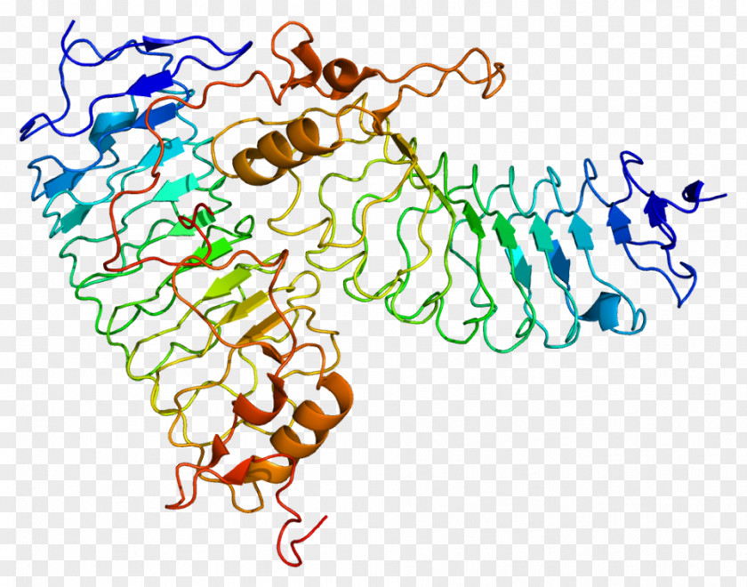 Glycoprotein Ib GP1BA Platelet Membrane PNG