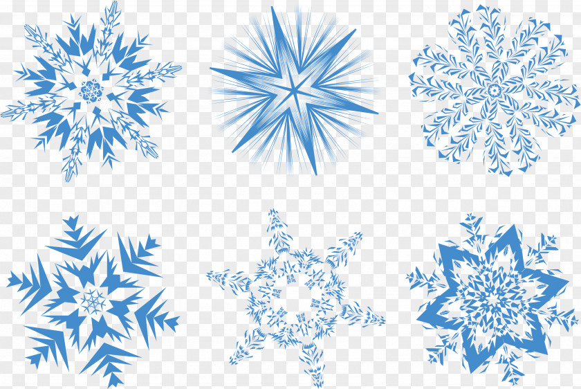 Snow Flakes Snowflake Clip Art PNG