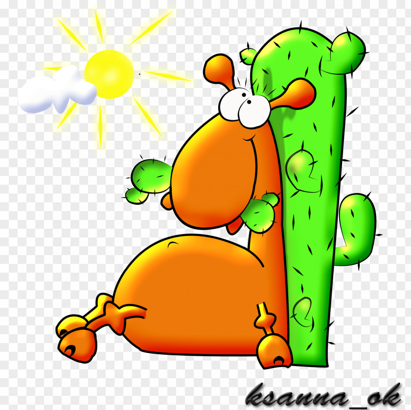 Camel Weather Display Resolution Clip Art PNG